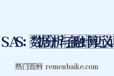 SAS：数据分析与金融计算近义词是什么意思的图片